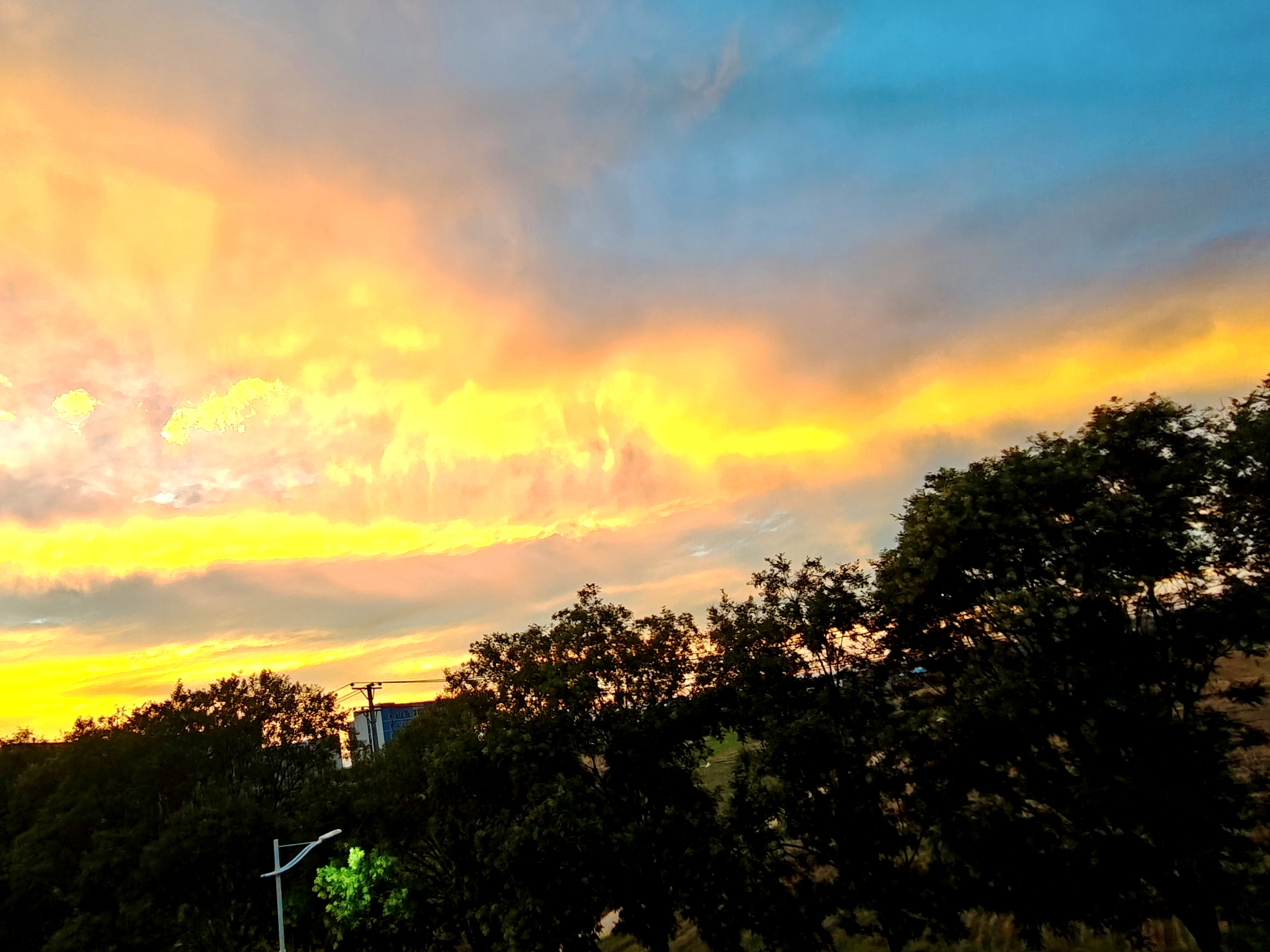 摄影三等奖 作者郑惠茹 作品名晚霞.jpg