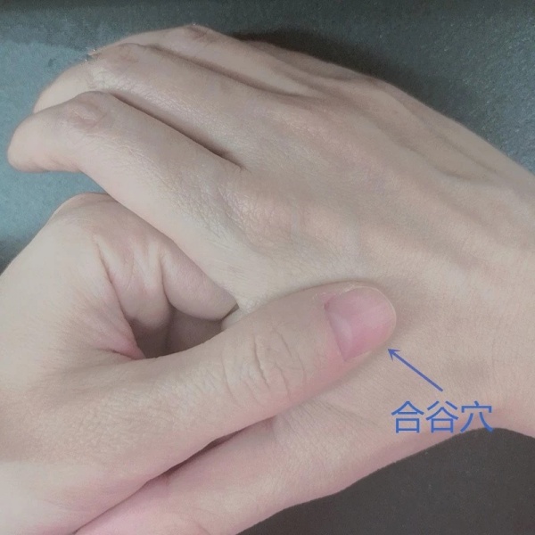 合谷穴_副本.jpg