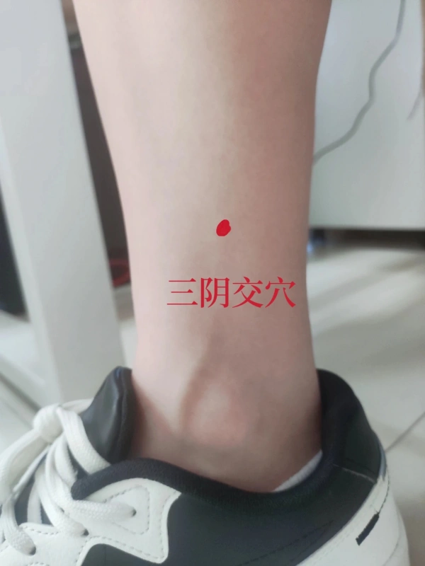 三阴交穴.png