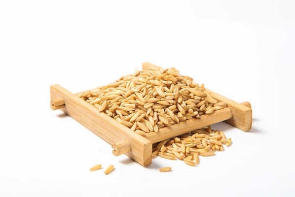 2 米饭＋燕麦米_副本.jpg