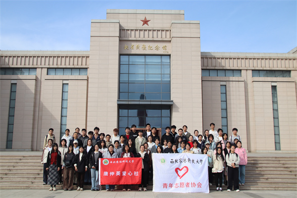ebd5dd8c9538425ecc4b26353f2d9a63.jpg