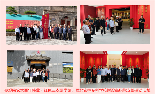 e25722cd562ee0a5189676fc97aebc76.jpg