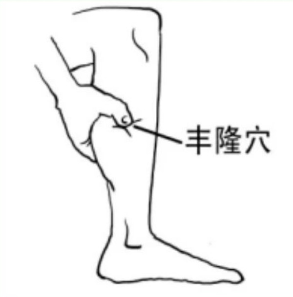 丰隆穴_副本.jpg