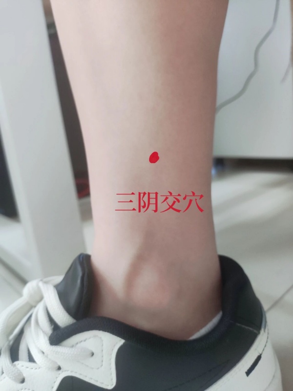 三阴交穴_副本.jpg