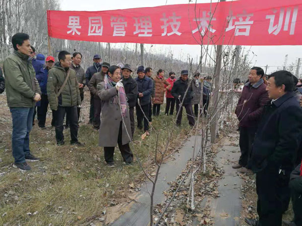 李丙智果园指导照片222.jpg
