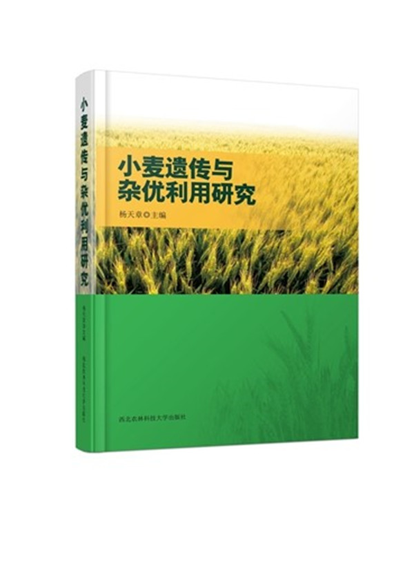 3b1831fce06241cf998577b2f1d242e6.jpg 图二_副本.jpg