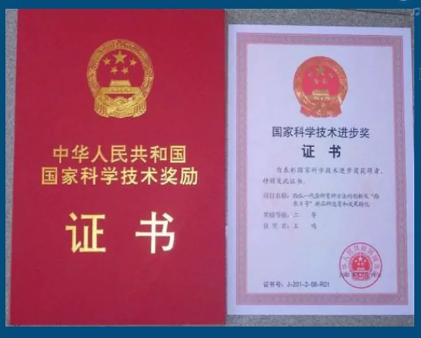 QQ图片20220627181331.png