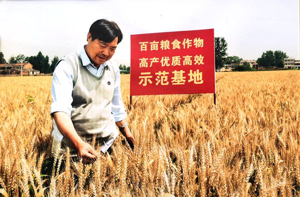 2014年高老师在试验田工作.png